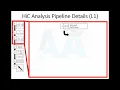 HiC Wetlab and Analysis Pipeline Overview