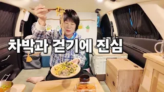 163.차박갔다가 새로생긴 둘레길 막힌곳까지 완전정복/스텔스차박/서산차박/중년여성솔로차박/풍전저수지/주차장차박 썸네일