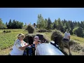 Download Lagu Ze bracht opa eten in de bergen 🇺🇦 | Het harde leven in een Oekraïens dorp