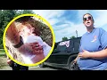 Download Lagu Het moment dat Predator beseft dat hij de verkeerde moeder heeft uitgekozen