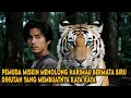 Download Lagu PEMUDA MISKIN INI MENOLONG HARIMAU BERMATA BIRU YANG MEMBAWANYA MENUJU KEAJAIBAN BESAR
