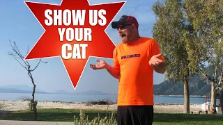 What! No Show Us Your Cat?