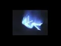 Crying City - Forever Eyes (Unreleased) snippet