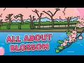 All About Blossom for Kids Spring Blossom Cherry Blossom