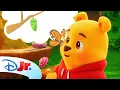 Download Lagu Playdate with Winnie the Pooh | Pooh Bear brings a flower to his caterpillar friend! 🐛 | @disneyjr