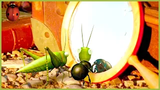 Narcissus  | Minuscule | 30' Compilation