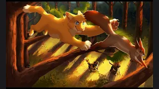 Warrior Cats - Which Ship Are OC The Child Of Warriors OC Maker