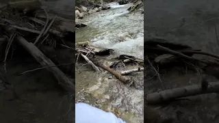 Bts Music Kpop Newmusic Mountains Canada Travel Trending Youtubeshorts India Fall Love 