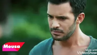 استقالة حبي دندنها