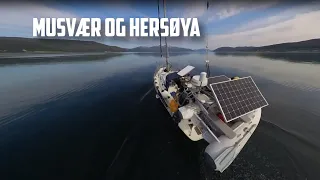 Troms Musvær – Hersøya (English subtitles)