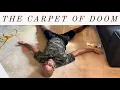 Lowe s Carpet Cleaner Rental VS Heavily Stained Carpet From Baby Food Cat Hair Lowe s Review