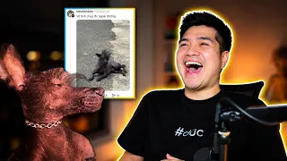 React Threads CHÓ XẤU NHẤT Việt Nam | Threads Phiêu Lưu Ký