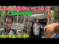 Download Lagu Nhà nghèo vợ bỏ đi Ông lão bán chó mua gạo ăn