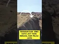 Download Lagu 7 Fakta Baru Kapal Bahtera Nabi Nuh