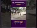 Download Lagu ఎచ్చెర్ల: ప్రమాదాలకు కారణమవుతున్న వీధి కుక్కలు | Srikakulam | Way2news Telugu