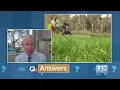 Q Answers What can you expect this allergy season