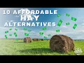 10 Affordable Hay Alternatives for Feeding your Animals
