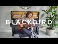 Download Lagu Blackbird (Acoustic Cover) - Cory Asbury