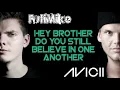 Avicii - Hey Brother w/ lyrics (rock cover by FutiMike)