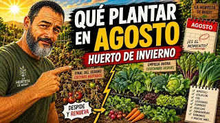 Qué plantar en agosto en el huerto | Calendario de siembra completo