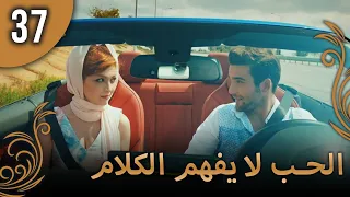 الحب لا يفهم الكلام الحلقة 37 