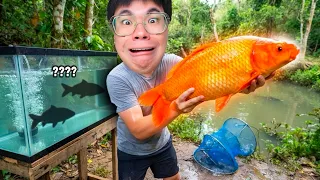 วางกับดักหน้าฝน…จับได้ “ปลายักษ์สีส้ม”!?