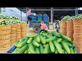 Download Lagu Use Truck To Harvest 50KG Of Delicious Giant Cucumbers Goes To Sell For Villager | Phương Farm Life