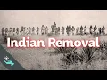 Download Lagu They Were Just in the Way | Indian Removal