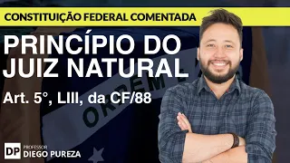 Princípio do Juiz Natural - Art. 5º, LIII, da CF/88
