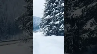 نفس الشي بس انتو تحبو المظاهر 