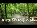 Download Lagu Walk Your Dog TV ~ Virtual Dog Walking ~ In to The Woods