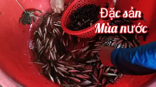 Đặc sản mùa nước nổi 25