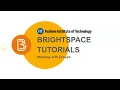 Brightspace Key Points Working with Groups