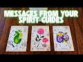 Download Lagu Je Spirituele Gids heeft een Boodschap🕊️Kies een Kaart✨