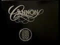 Cannon safe keypad failure