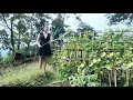 Autumn in the Mountains – Nora Tends Her Garden at the Countryside Homestead | Off-Grid Life