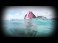 The Jimmy Weeks Project - In My Dreams (Mermaid Version)