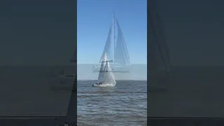 2024 Peanut Regatta No. 8 #shorts #water #sailing #racing #texas #water #boat