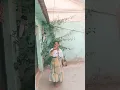Download Lagu o Bava na bava song 🎧🎧# short viral#
