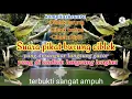 Download Lagu @dedyjosh Suara pikat ciblek jamin langsung lengket // pancingan ciblek pasti burung anda gacor