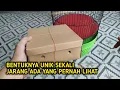 Lagu INI BURUNG LANGKA YANG HANYA BISA DITEMUKAN DI SATU TEMPAT DIBUMI‼️