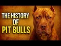 The History of the Pit Bulls Heroes or Villains