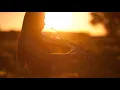 Michael FK - Go Back