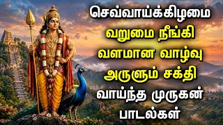 TUESDAY POPULAR MURUGAN DEVOTIONAL SONGS | Murugan Bakthi Padalgal | Lord Murugan Tamil Songs