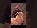 Lagu #Messi = #GOAT 🐐🇦🇷