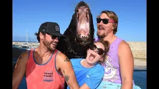 Ep. 14 – Dominican Republic