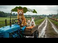 Download Lagu Mama Cat and Kitten Finds Lonely Bunny in Carrot Field 🐰💔 Brings It Home with Love 🐱❤️