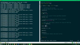 Ncurses Tutorial 1 - Moving Cursors move printw clear