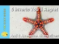 Lagu Top 6 Inverts You'll Regret (And 8 Awesome Alternatives)