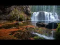 TRANQUIL ESCAPE - Relax Stress Relief Sleep Meditation Healing Yoga Study